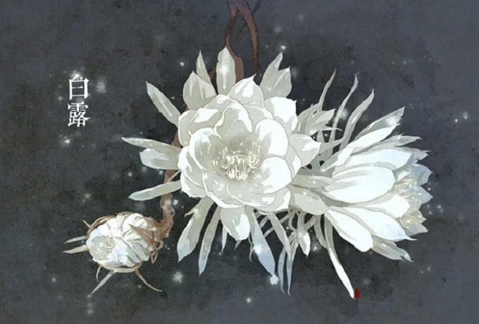 白露有什么要注意的吗