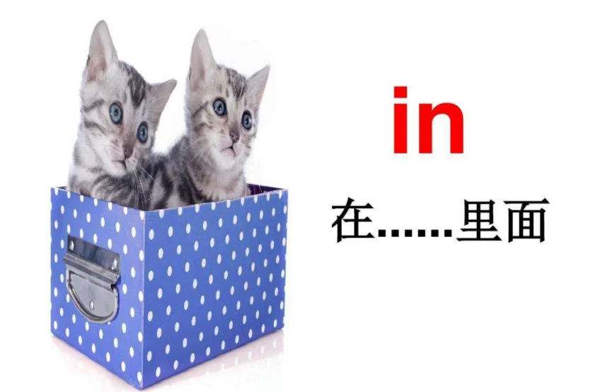 月份前面用on还是in