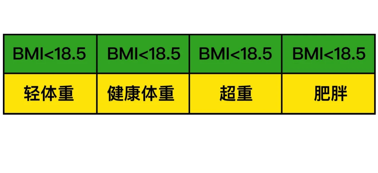 bim怎么算