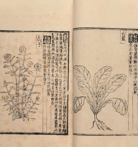 救荒本草是哪个时期的谁编撰的