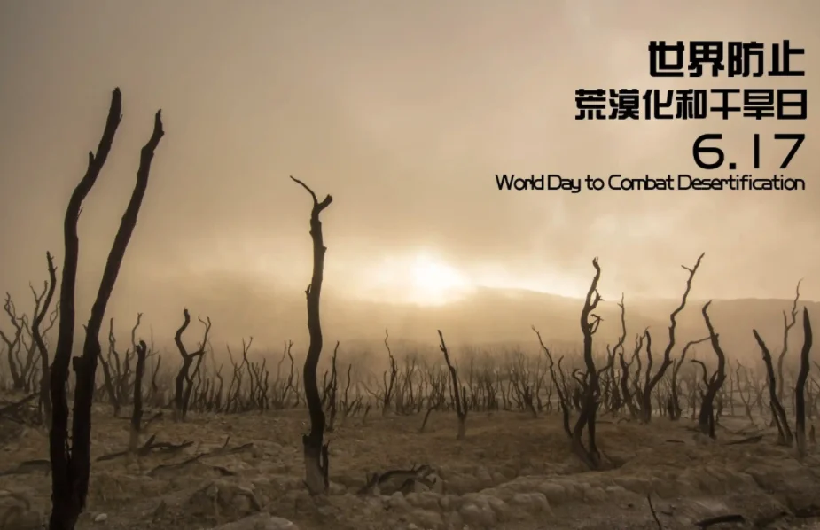 2022年是第几个世界防治荒漠化和干旱日