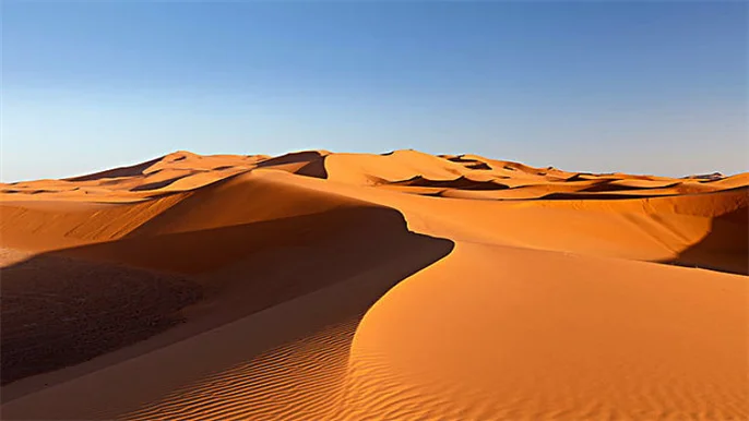 世界上最大的沙漠叫什么名字?
