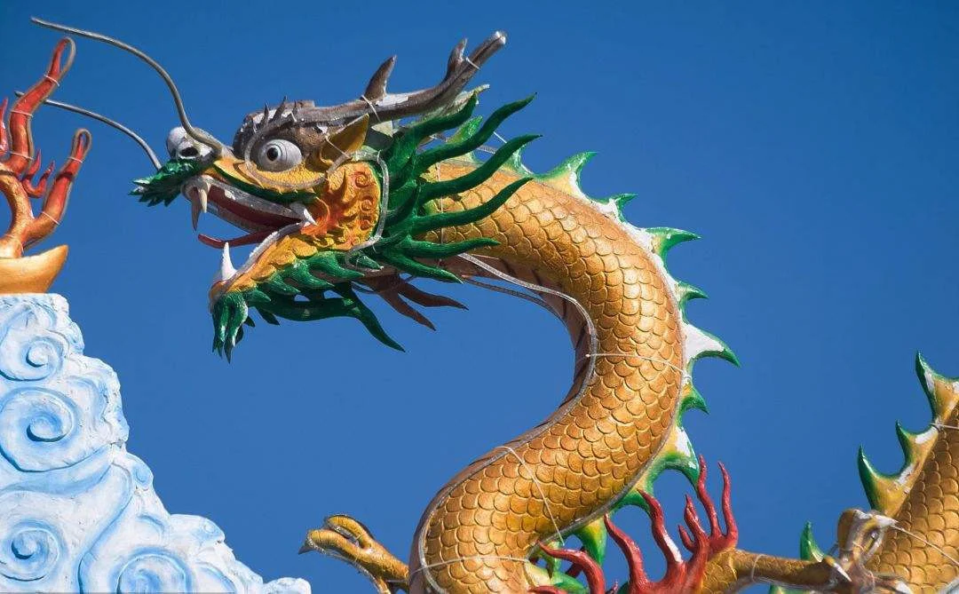 龙跟虎的属相合不合