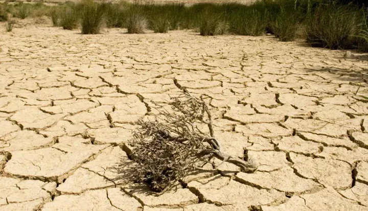 2022年是第几个防治荒漠化干旱日