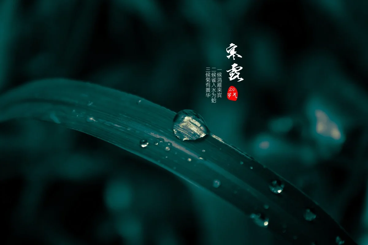 白露和寒露的区别