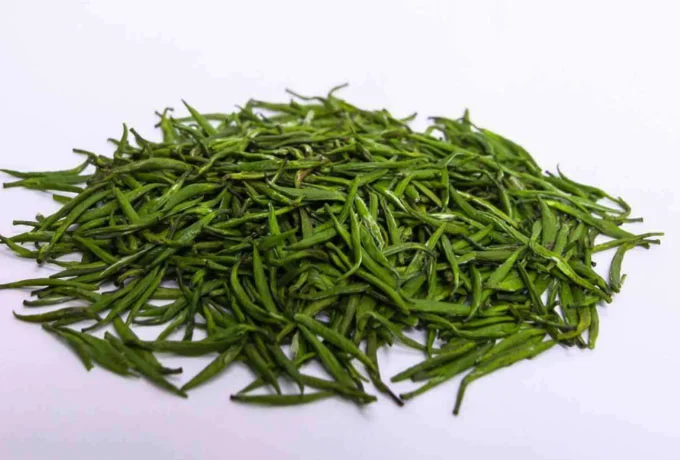 竹叶青是竹叶吗