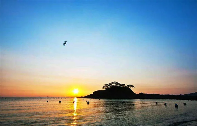 海鸥岛在广州哪里